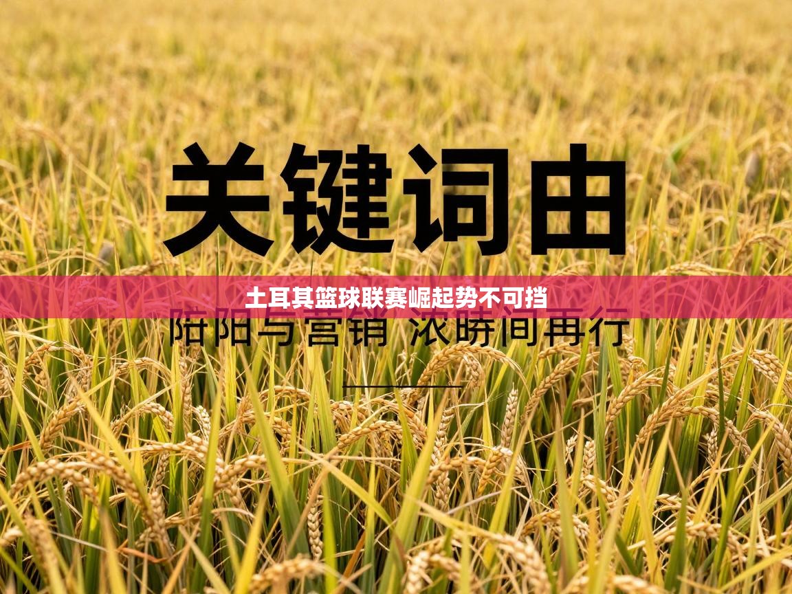 土耳其篮球联赛崛起势不可挡